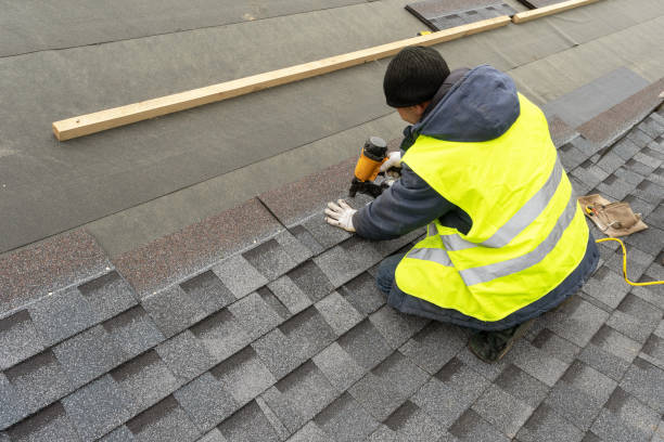 Best Roof Insulation Installation  in Ames, IA