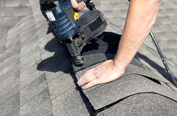 Best Roof Moss and Algae Removal  in Ames, IA